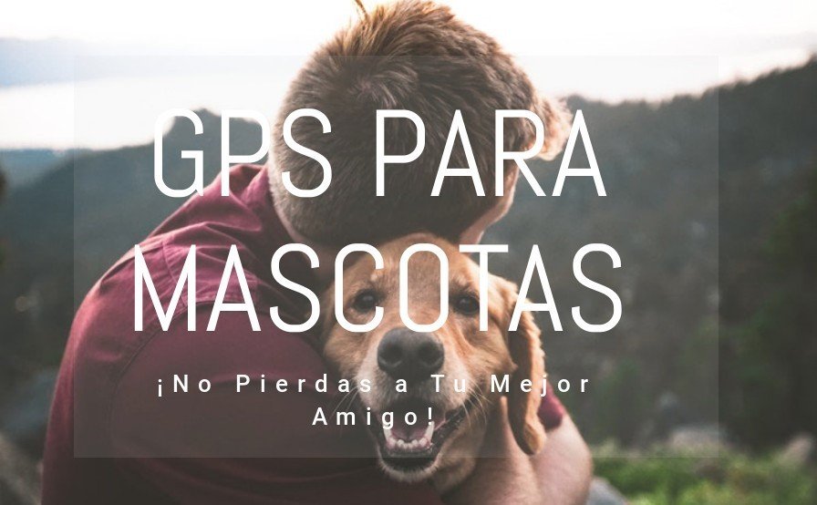 gps para mascotas